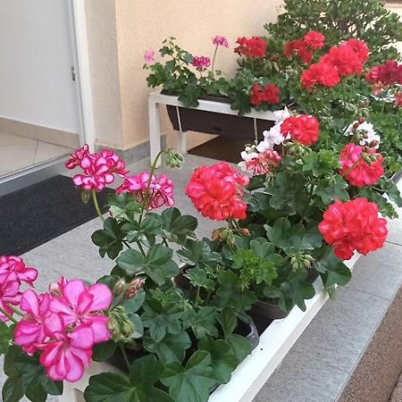 Apartment Marelja - Private Parking And Balcony Zadar Exterior foto